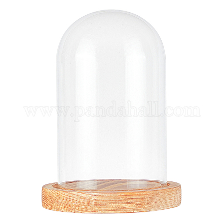 透明なガラスの箱  半円形の木製台座付き  透明  11.3x16cm CON-WH0078-78-1