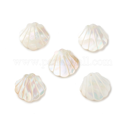 Natural Sea Shell Pendants SSHEL-T012-11-1