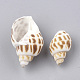 Perles de coquillages en spirale SSHEL-S251-08-2