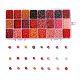 Rote Serie 600g 24 Farben Glas Saatperlen SEED-JP0008-02-3mm-1