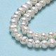 Natural Cultured Freshwater Pearl Beads Strands PEAR-F018-13B-01-4