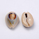 Perles de coquillage cauri naturelles BSHE-Q295-4-2