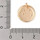 Латунь с подвесками из прозрачного кубического циркония KK-N256-24B-G-3