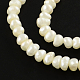 Rondelle Natural Cultured Freshwater Pearl Beads Strands PEAR-R012-36-1