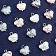 Arricraft 20 pièces 5 couleurs abs plastique imitation perle pendentifs OACR-AR0001-13-4