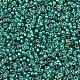 Perles rocailles miyuki rondes X-SEED-G007-RR1017-3
