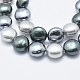 Chapelets de perles de coquille BSHE-F001-01-4