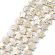 Brins de perles de coquille d'eau douce naturelles de style drawbench BSHE-E028-04-1