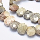 Natural Fossil Coral Beads Strands G-K256-43A-3