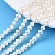 Natural Cultured Freshwater Pearl Beads Strands PEAR-N013-04A-5