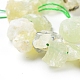 Natural Prehnite Beads Strands G-I283-D03-3