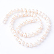 Natural Cultured Freshwater Pearl Beads Strands PEAR-S010-48-2