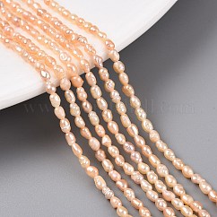Hebras de perlas de agua dulce cultivadas naturales, arroz, peachpuff, 2.5~4.5x1.5~2.5mm, agujero: 0.5 mm, aproximamente 79~81 pcs / cadena, 13.78 pulgada (35 cm)