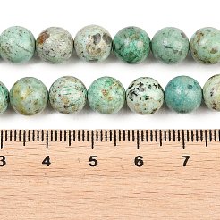Natürliche peruanische türkisfarbene (Jaspis) Perlenstränge&nbsp;G-F836-A02-8mm