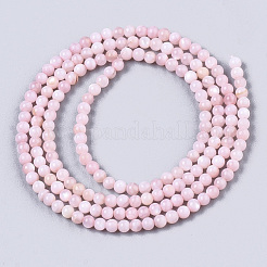 Eau douce naturelle de coquillage perles brins&nbsp;BSHE-T009-01D