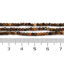 Natürlichen Tigerauge Perlen Stränge&nbsp;G-P457-B01-51