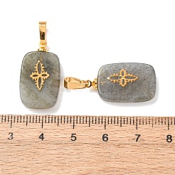 Natur Labradorit Anhänger&nbsp;G-G461-07G-06