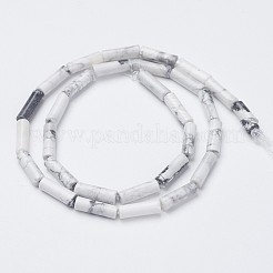 Natürliche Howlith Perle Stränge&nbsp;G-G968-F03