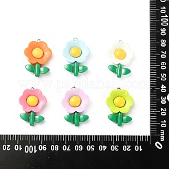 30pcs 6 couleurs pendentifs en résine opaque&nbsp;RESI-CJ0003-08