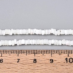 Fili di perle di conchiglia trochid naturale / trochus&nbsp;SSHEL-N040-21H