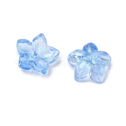 Gefärbte und erhitzte Glasperlenkappen&nbsp;GLAA-Z019-02N