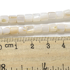 Natürlichen Süßwasser-Muschelperlen Stränge&nbsp;SHEL-H004-02
