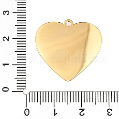 Pendentifs en acier inoxydable 304 émaillés&nbsp;STAS-Z186-12G-01
