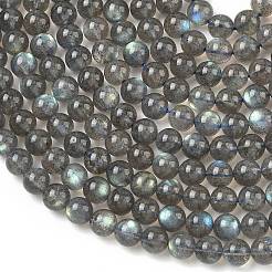 Perline labradorite naturale fili&nbsp;G-L654-O02-6mm