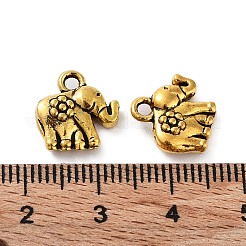 Tibetischen Stil Legierungs Anhänger & Charms&nbsp;LS-FIND-Q094-01AG