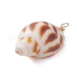 Natürliche Spirale Shell Anhänger&nbsp;PALLOY-JF02949