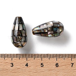 Perles de coquillage paua naturel&nbsp;SSHEL-B002-10A-02