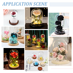 15 mini couvercle de dôme en verre&nbsp;DJEW-BC0001-19