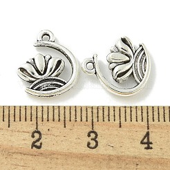 Pendentifs en alliage de style tibétain&nbsp;TIBE-I026-6025AS