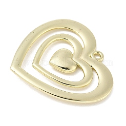 Pendentifs en alliage&nbsp;FIND-L025-14G