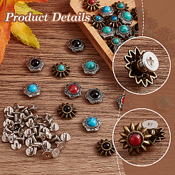 40 jeu de 8 rivets à vis en alliage de style pièce de monnaie&nbsp;FIND-GA0003-13