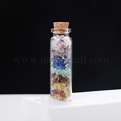 Transparente Glas-Wunschflaschendekoration&nbsp;PW-WG92605-01