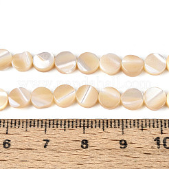 Natürliche Trochidschale / Trochusschalenperlenstränge&nbsp;SSHEL-N041-03