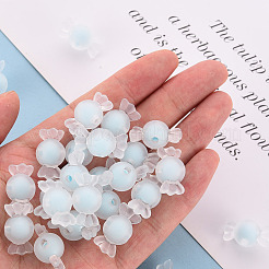 Perles en acrylique transparente&nbsp;LS-TACR-S152-13C-A07