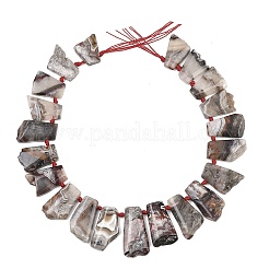 Stränge natürlicher mexikanischer Crazy Lace Achatperlen&nbsp;G-B196-A01-01