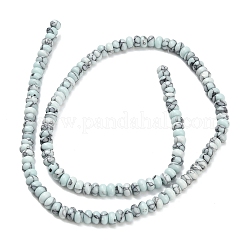 Kunsttürkisfarbenen Perlen Stränge&nbsp;G-L635-A10-4x2mm-03