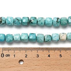 Gefärbte natürliche Howlith-Perlenstränge&nbsp;G-H078-C28-01