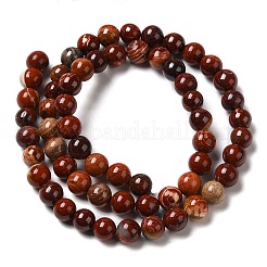 Fili di perline di diaspro rosso naturale in pelle di serpente&nbsp;X-G-H298-A02-02