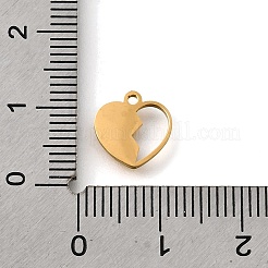 Anhänger aus 304 Edelstahl&nbsp;STAS-S178-02G