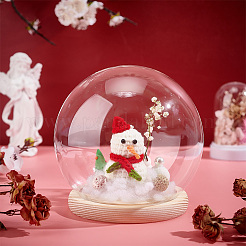 Couvercle de dôme en verre rond&nbsp;DIY-WH0430-559C-01