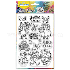 Klarsichtstempel aus PVC-Kunststoff&nbsp;DIY-WH0618-0325