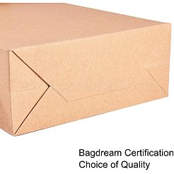 Kraftpapiertüten Geschenk Einkaufstüten&nbsp;AJEW-PH0016-50