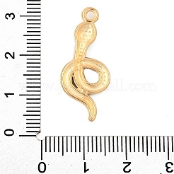 Pendentifs d'émail en alliage&nbsp;FIND-U031-14G-01