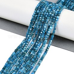 Natürliche Apatit Perlen Stränge&nbsp;G-P553-E03-02
