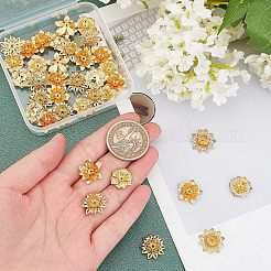 36 Stück 3 Stil Messing 3D Blumen Perlenkappen&nbsp;KK-FH0002-48
