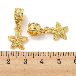 Breloques européens en alliage de style tibétain&nbsp;PALLOY-F199-41G